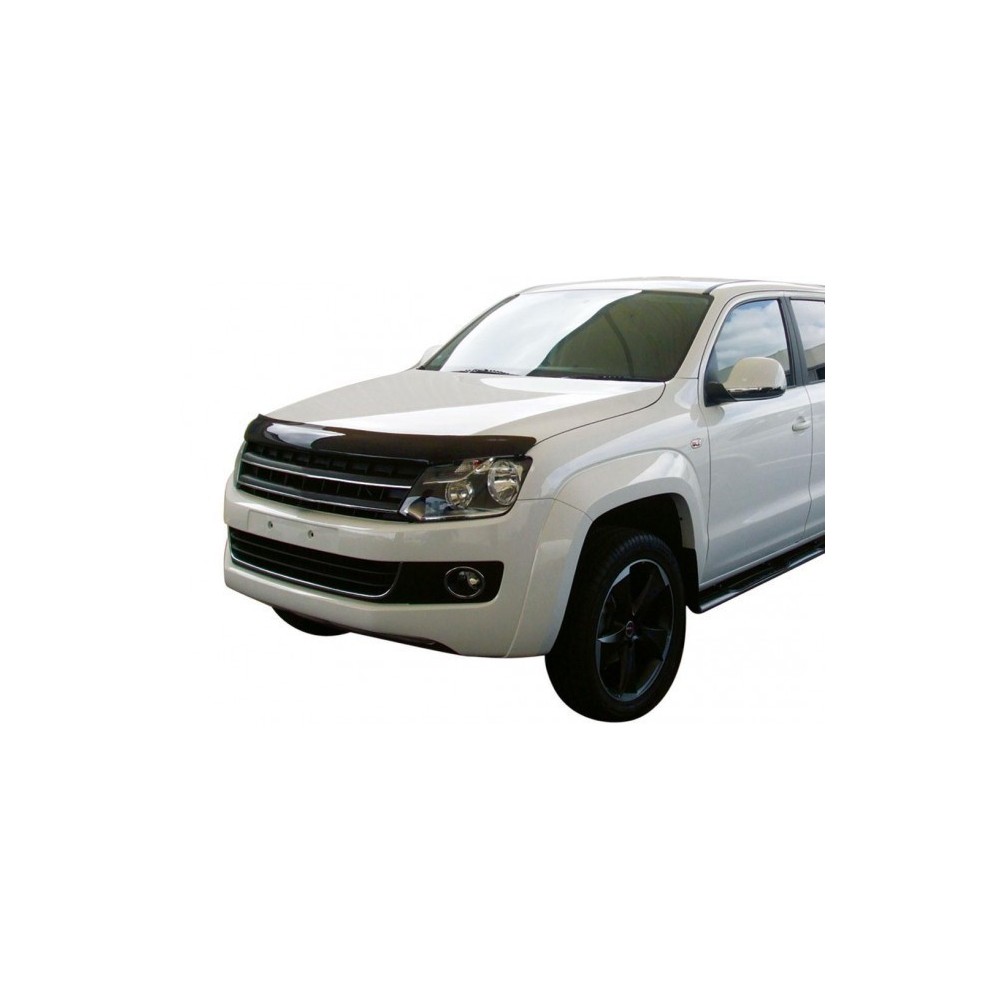 Deflecteur De Capot Teinte