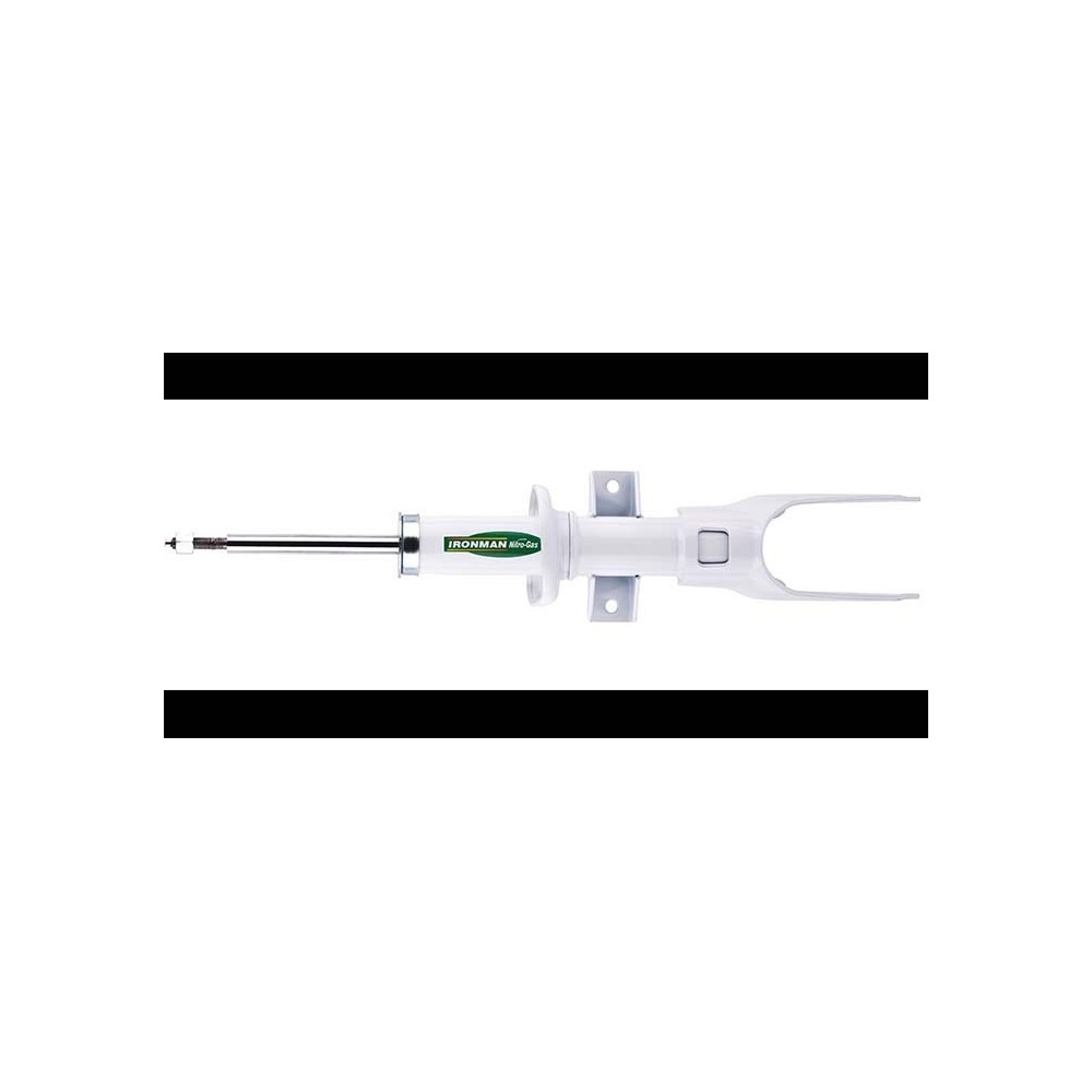 amortisseur duster.jpg